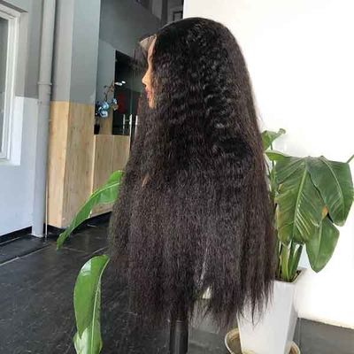 Super Double Drawn Preplucked HD Lace Wig Closure 6X6 Swiss Human Hair